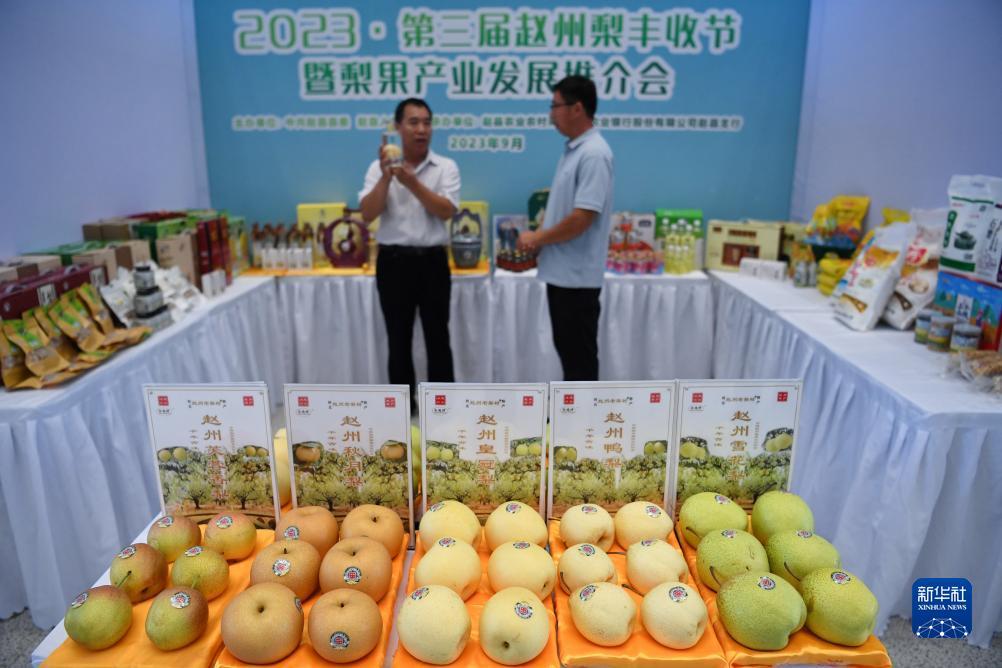 谁有正规棋牌官网
